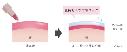 塗布後、2層に分かれるフィルムプロテクト処方により、色...