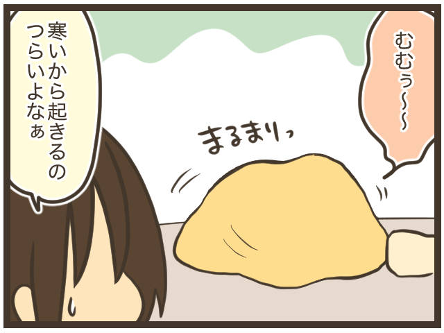 (429082)