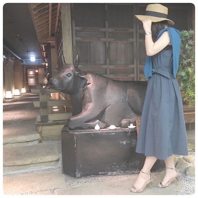 Instagram (39057)