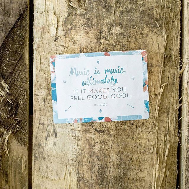 Instagram (39151)