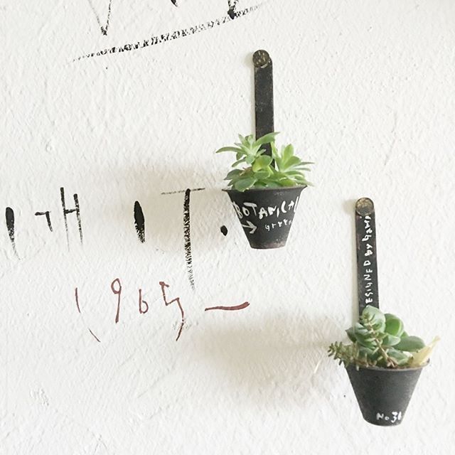 Instagram (42496)