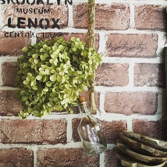 Instagram (42517)