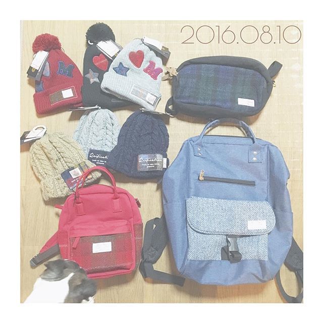 Instagram (45411)