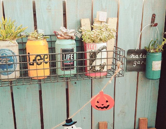 Instagram (49265)
