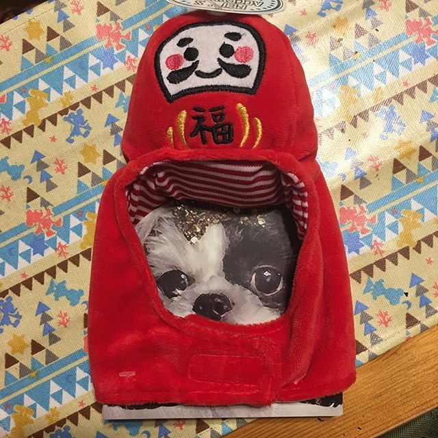Instagram (71672)