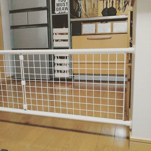 Instagram (77059)