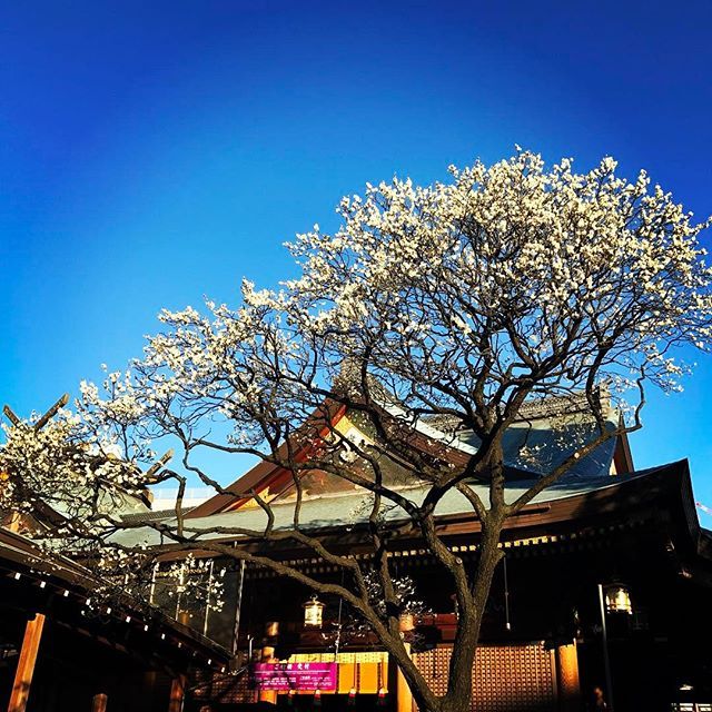 Instagram (78697)