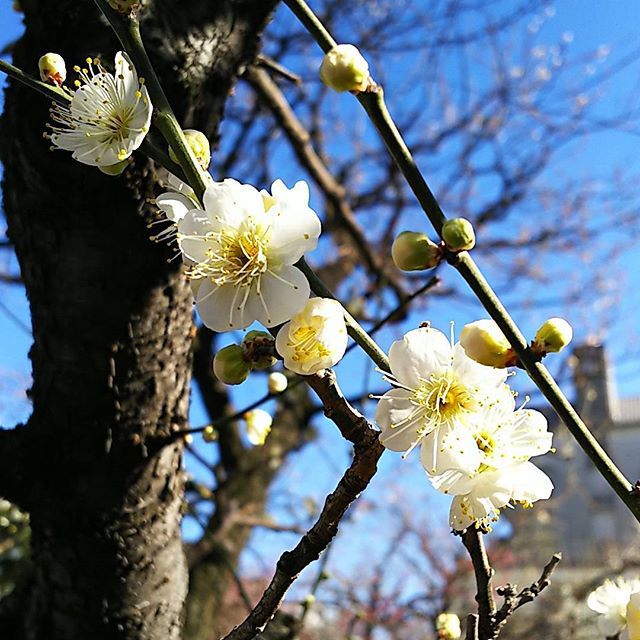 Instagram (78705)
