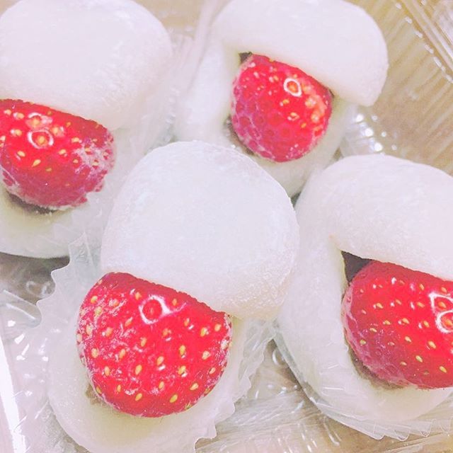 Instagram (79113)