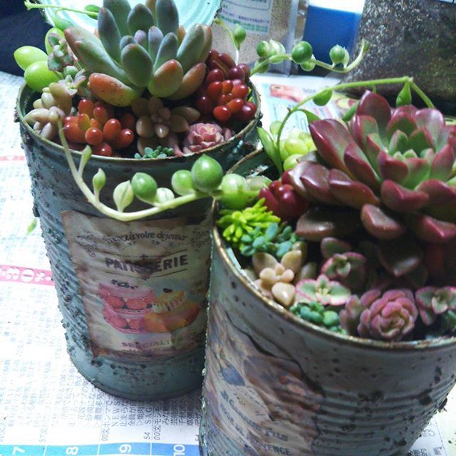 Instagram (80864)
