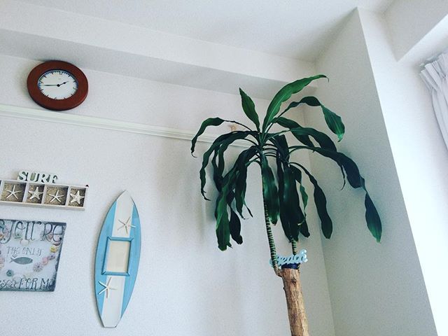 Instagram (81422)