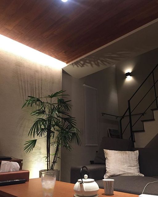 Instagram (81429)