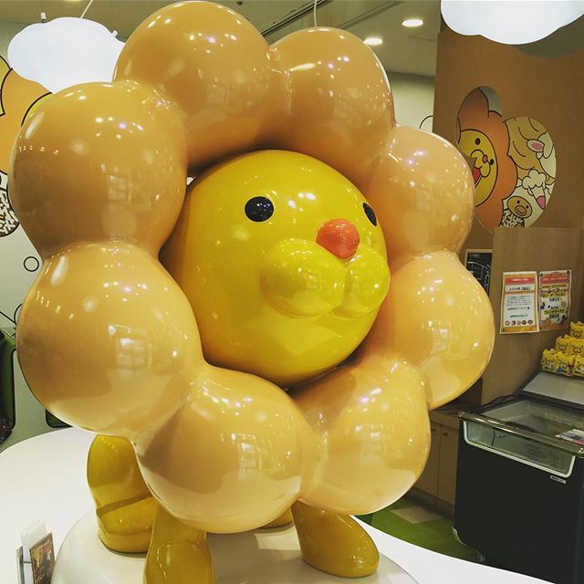 Instagram (81511)