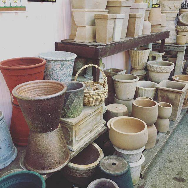 Instagram (87731)