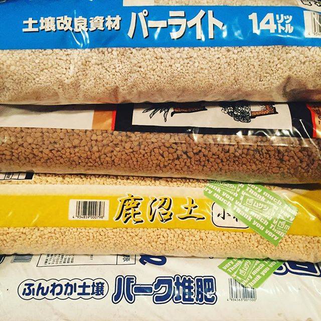 Instagram (87748)