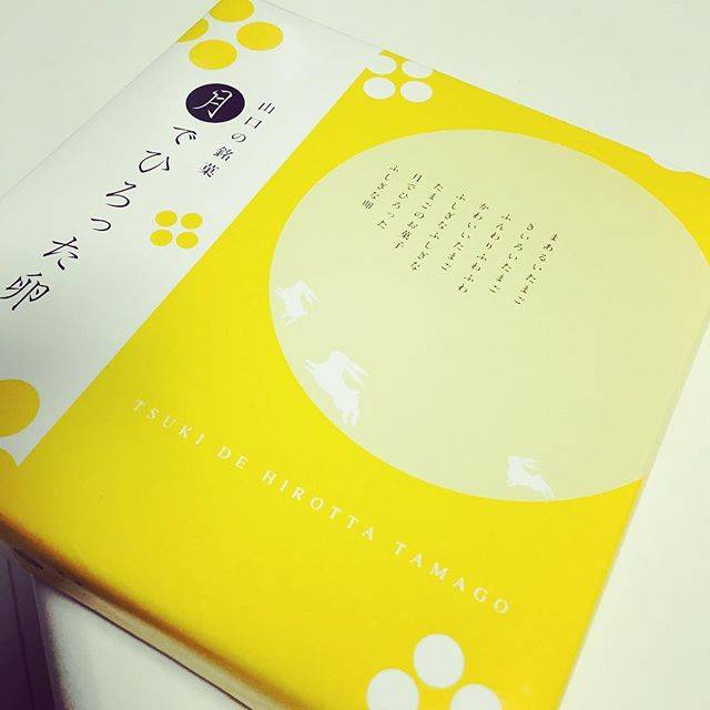 Instagram (91102)