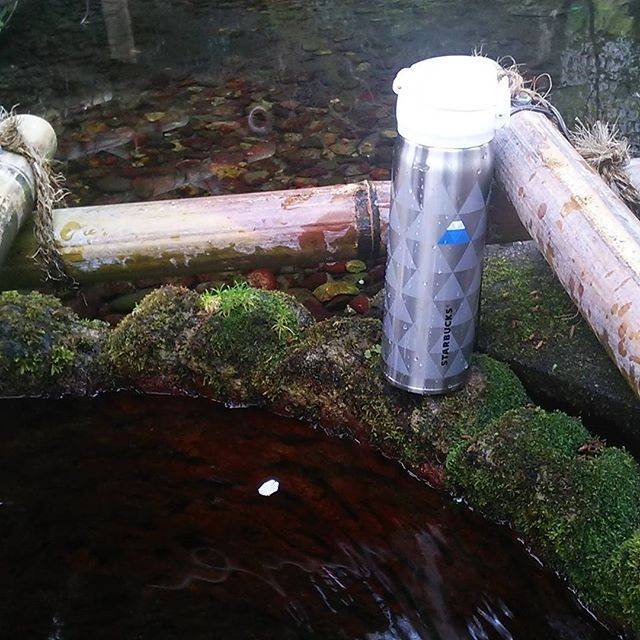 Instagram (95832)