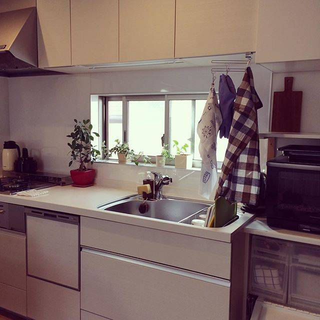 Instagram (96362)