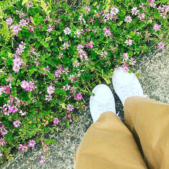 Instagram (97243)