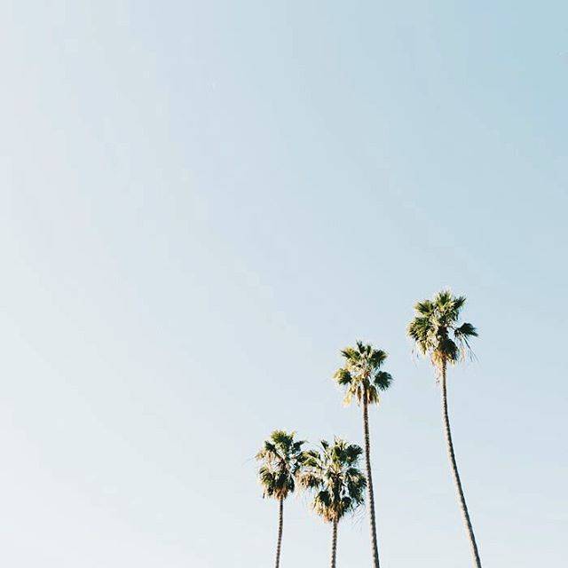 Instagram (119960)
