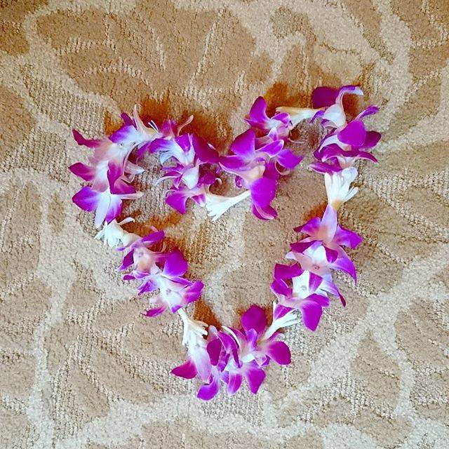Instagram (119968)
