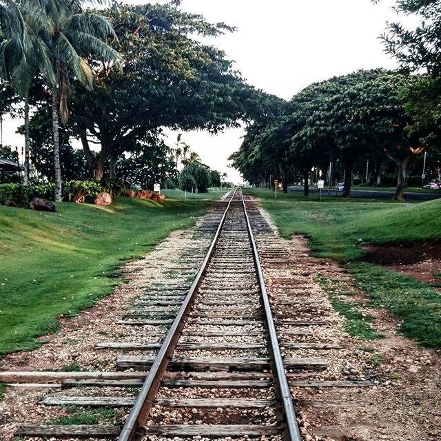 Instagram (119980)