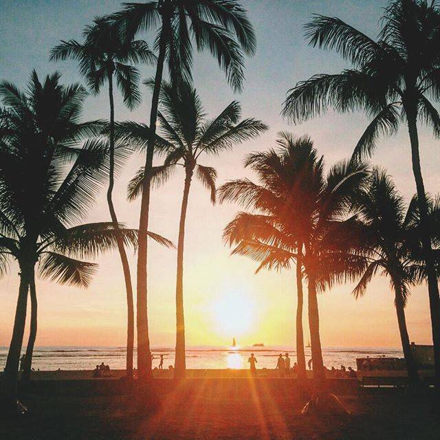 Instagram (120004)