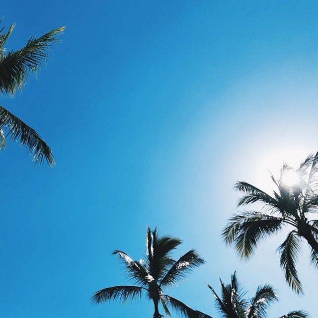 Instagram (139184)
