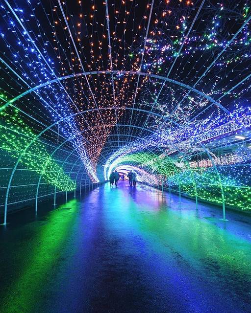よみうりランド【公式】 on Instagram: “【雨の日のスパイラル・パサージュ】 全長140mのトンネルに、イルミネーションを螺旋状に取り付けました。引き込まれるかのような不思議な感覚をお楽しみください。また、光のパサージュは様々な表情へと移り変わります。お気に入りの輝きを見つけて写真に収めましょう。  #よみうりランド…” (185236)