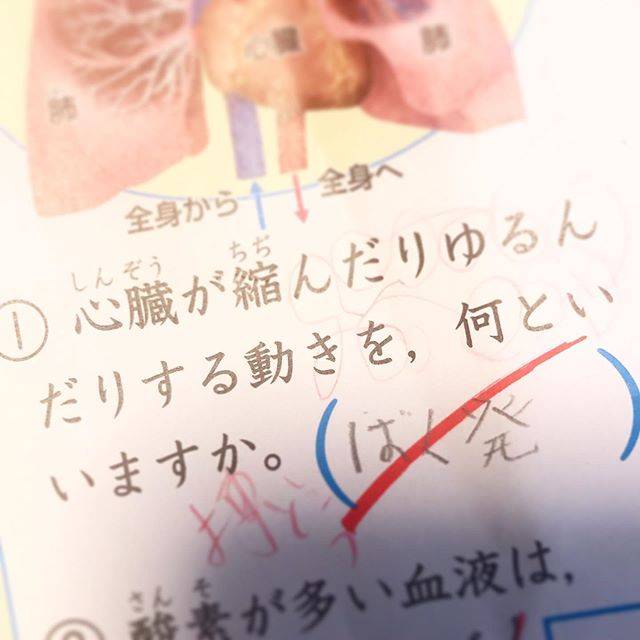@minepo on Instagram: “爆発💣..えらいこっちゃ..正解は拍動やってさ。書き直しも間違ってるやん。。...#本人掲載許可済 #珍回答 #小6男子 #おもしろ回答 #テスト” (197317)