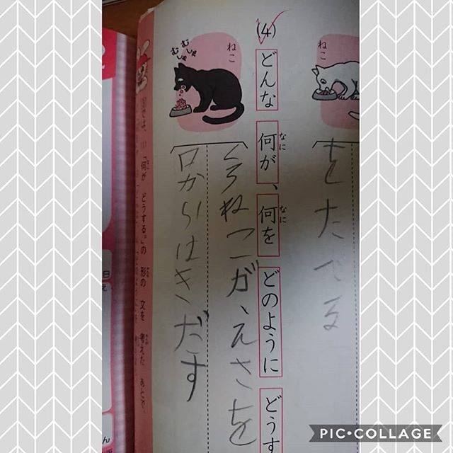 Yuko  Adachi on Instagram: “次男の珍回答～問題読まずに直感的に回答。この子、こんなんばっか…#珍回答#二年生#二年生男子#問題をよく読みましょう” (197328)