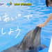体験型水族館とおもちゃ遊園地 南知多ビーチランド&南知多おもちゃ王国