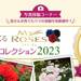 みんなでつくるマイローズコレクション2023|住友化学園芸