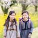 【2026卒業式・入学式】女の子フォーマルスーツ｜しまむら・バースデイ