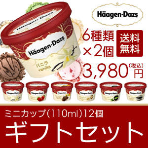 ハーゲンダッツのミニカップ（110ml)12個セット！...
