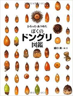 ひろった・あつめた ぼくのドングリ図鑑 (ちしきのぽけっと12) | 盛口 満, 盛口 満 (245506)