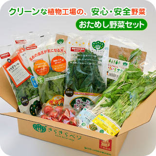 こだわりの植物工場野菜「きらきらベジ」全6種類が楽しめ...